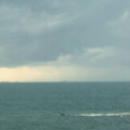 Profile photo of Tharindu