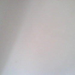 Profile photo of david thomas