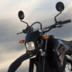 Profile photo of Dila