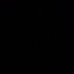 Profile photo of Shehan