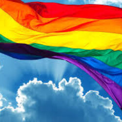 Profile photo of Avishka Perera