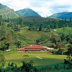 Profile photo of Sithum perera