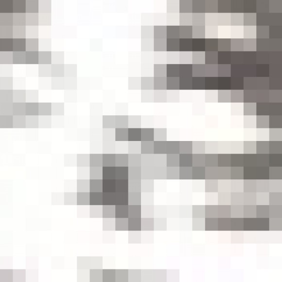 Profile photo of nushan