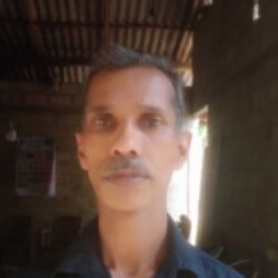 Profile picture of Guruwattha Vidanaralalage Indrasena