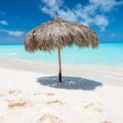 Profile picture of Neil75