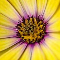 Profile photo of Supuni