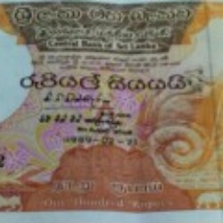 Profile picture of Jayson mayan