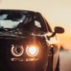 Profile picture of dddddnimesh