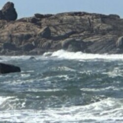 Profile photo of Jake