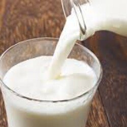 Profile photo of Risla