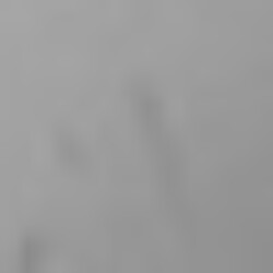 Profile picture of Robinselvam