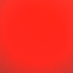 Profile picture of Thenula Pavan