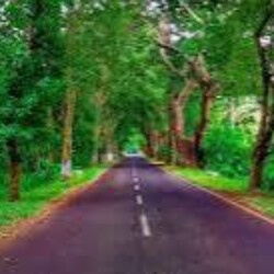 Profile photo of Samadhi