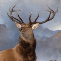 Profile photo of Ruchira Chandana