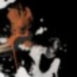 Profile picture of Jerry