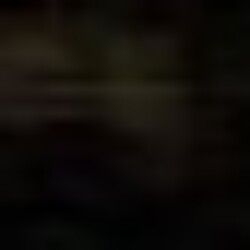 Profile picture of Pubudu Lasitha De silva