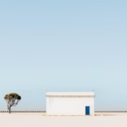 Profile picture of Mohan