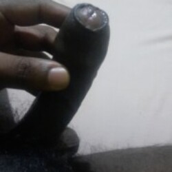 Profile photo of Dineth