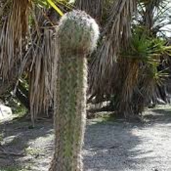 Profile photo of kumad (female only)