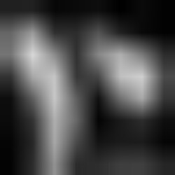 Profile picture of Joy