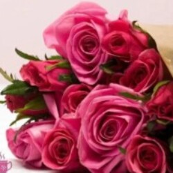 Profile photo of Hasintha