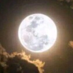 Profile picture of Pahan