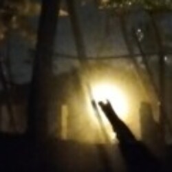 Profile photo of Shan Mhd