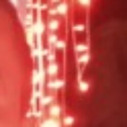 Profile picture of Harsha