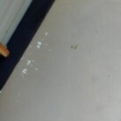 Profile photo of nimendra