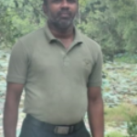 Profile photo of Senarath