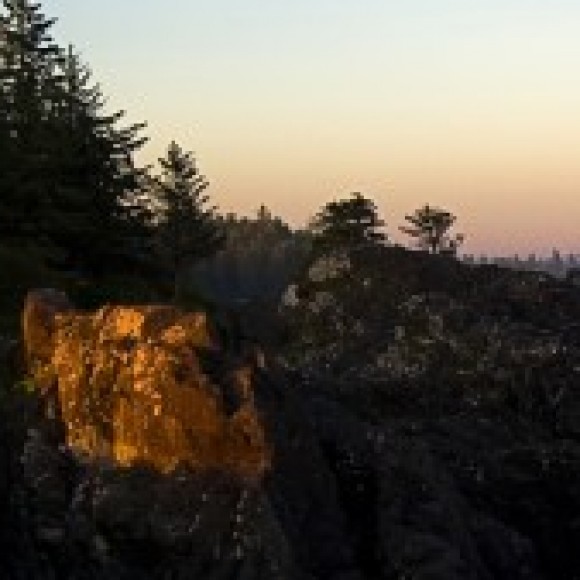 Profile picture of suresh kumara