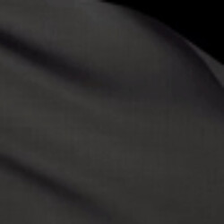 Profile picture of Kevin