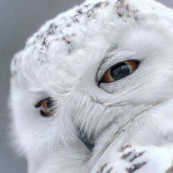 Profile photo of sandeep