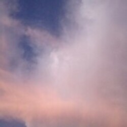 Profile photo of Shane