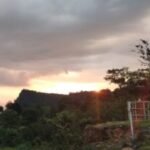 Profile photo of Vihanga M93