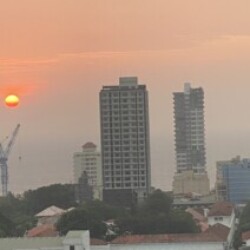 Profile picture of Moadam