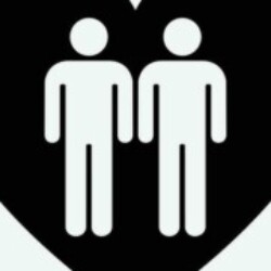 Profile picture of Saman K