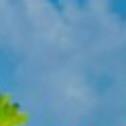 Profile picture of Harindu