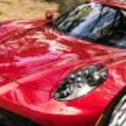 Profile photo of Marcarus