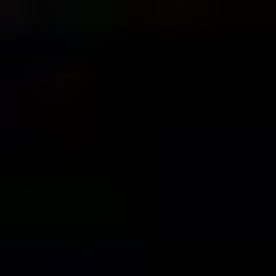 Profile picture of Mohamed Afri