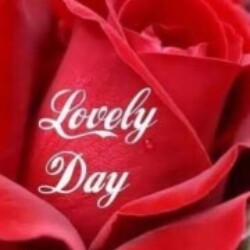 Profile photo of Top uncle