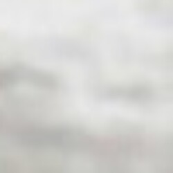 Profile photo of Boy22