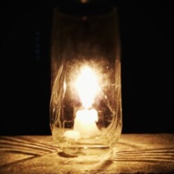 Profile photo of Bob4Nt