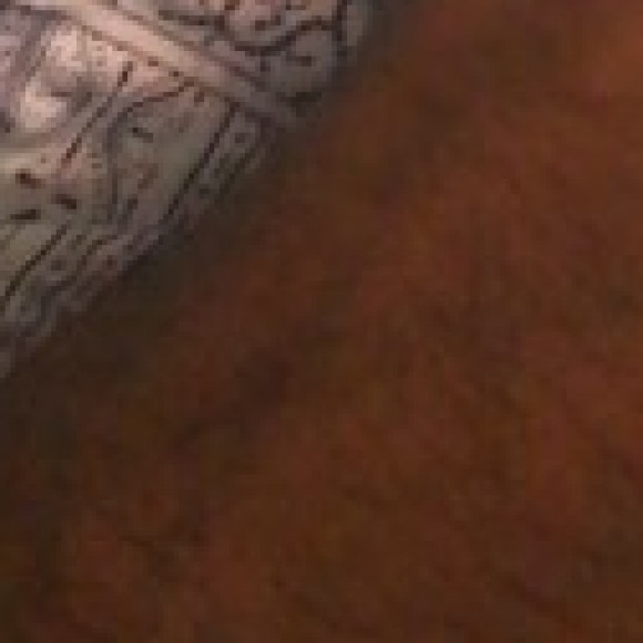 Profile picture of KrishanIddamalgoda