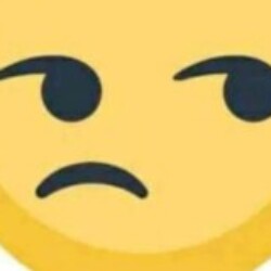 Profile picture of RJ