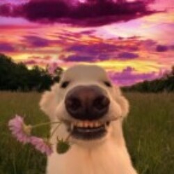 Profile photo of 7inch