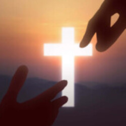 Profile picture of Sonal Perera