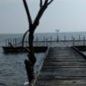 Profile photo of Akarsha