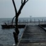 Profile photo of Akarsha