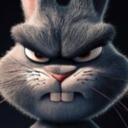 Profile picture of Rayan